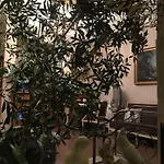 Berlioz Νίκαια